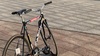 2016 Fuji Feather photo 2016 Fuji Feather photo