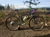 2016 Ritchey P-29er photo