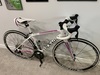 2017 Colnago CLD Team Edition photo
