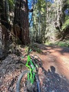 2017 Specialized Enduro photo