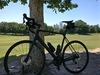 2018 Canyon Endurace CF SL Disc 8.0 photo