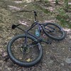 2018 Surly Krampus photo