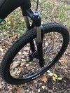 2019 Orbea MX 29 photo