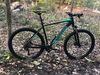 2019 Orbea MX 29 photo