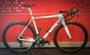 2019 Ritte Ace photo