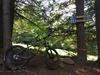 2019 Salsa Timberjack SLX photo