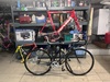 201X Cinelli Gazetta photo