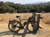 2020 Cervelo Aspero photo