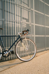 2020 fuji feather photo 2020 fuji feather photo