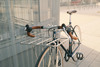 2020 fuji feather photo 2020 fuji feather photo