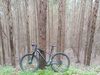 2020 GW Jaguar 29" (Stolen) photo