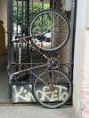 2020 Oduwan Bikes Coppion (RIP) photo