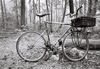 2020 Oduwan Bikes Coppion (RIP) photo