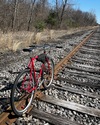 2020 Surly Steamroller 650b photo