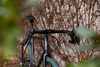 2022 Kona Rove LTD photo