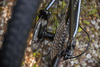 2022 Kona Rove LTD photo