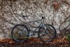 2022 Kona Rove LTD photo