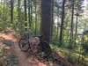 2022 Specialized Chisel Comp photo