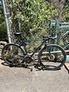 2023 Brother Cycles Stroma photo