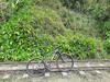 2023 GW Alligator 29" photo