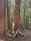 2023 Marin Gestalt XR photo