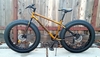 2025 Mongoose Argus ST photo