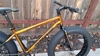 2025 Mongoose Argus ST photo