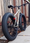 2025 Mongoose Malus photo