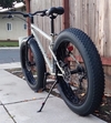 2025 Mongoose Malus photo