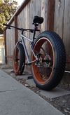 2025 Ozark Trail Fat Tire photo