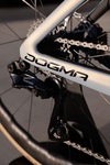 2025 Pinarello Dogma F photo