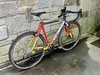 2026 Calsonic Sonic CX photo
