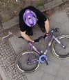 2026 Cinelli Vigorelli Burgundy Nebula photo 2026 Cinelli Vigorelli Burgundy Nebula photo