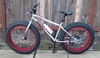 2026 Mongoose Malus Silver photo