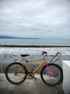 26er parts bin build (fixed-free) photo