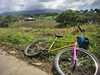 26er parts bin build (fixed-free) photo