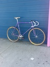 3Rensho purple NJS photo