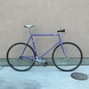 3Rensho purple NJS photo