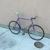 3Rensho purple NJS photo