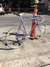 3Rensho purple NJS photo