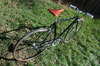 48cm Schwinn World Sport photo