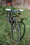 48cm Schwinn World Sport photo