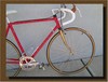 50th anniversary Schwinn Red w/gold fork photo