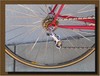 50th anniversary Schwinn Red w/gold fork photo