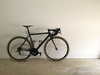 52 Focus Izalco Max photo