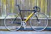 50cm Low// Track Std. photo