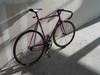 56cm Cinelli Gazzetta photo