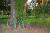 58cm Green Leader 722 Heritage Edition photo