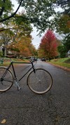 '73 Raleigh Competition photo