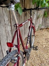 80s Raleigh Nitro photo